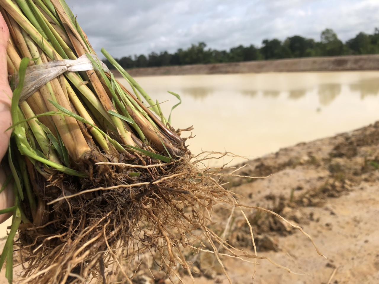 ภาพประกอบที่ 18