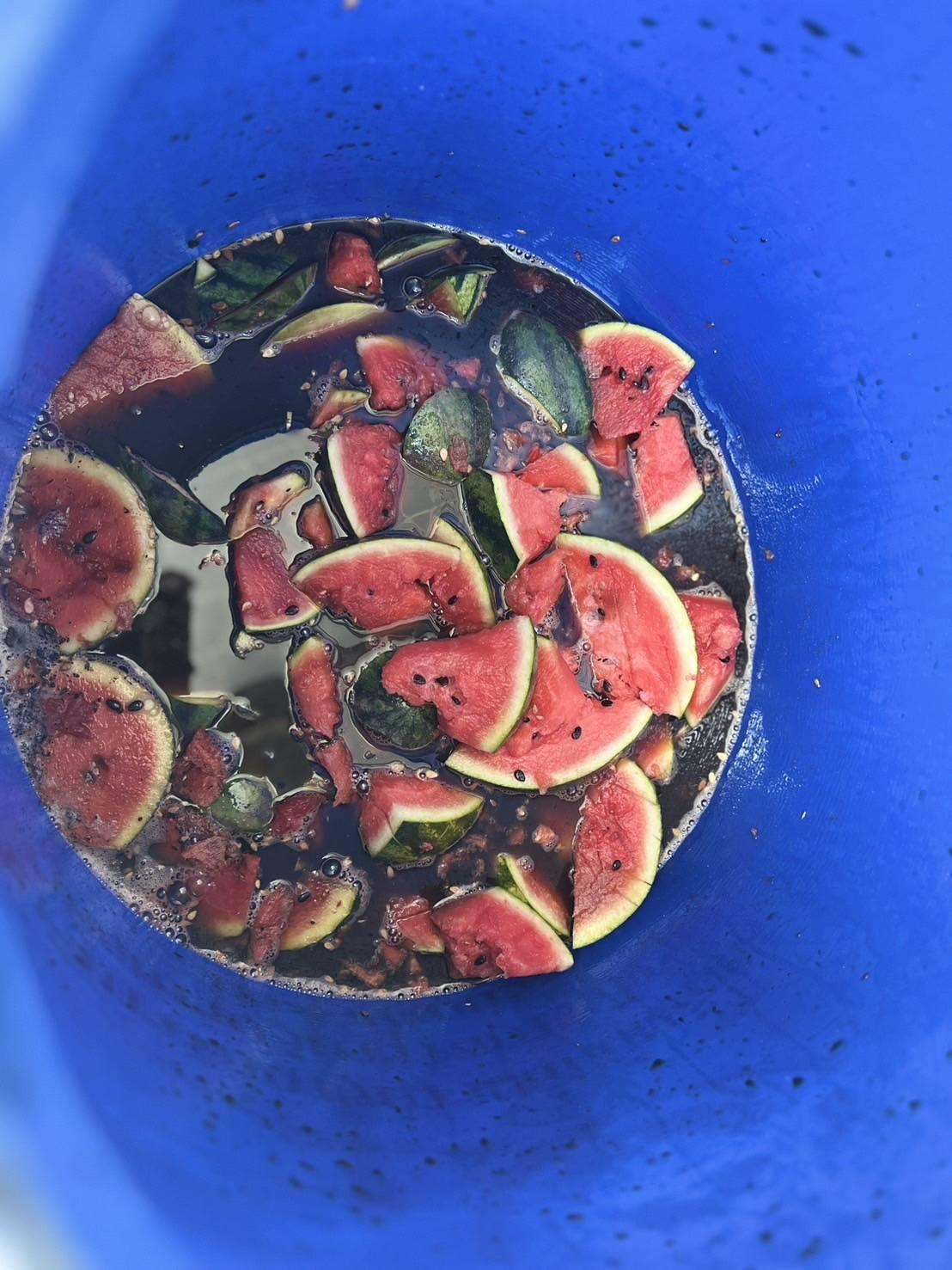 ภาพประกอบที่ 12