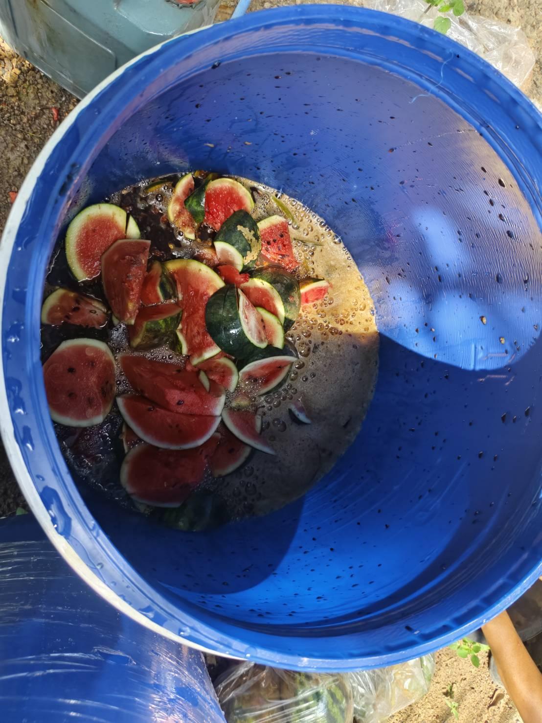 ภาพประกอบที่ 13