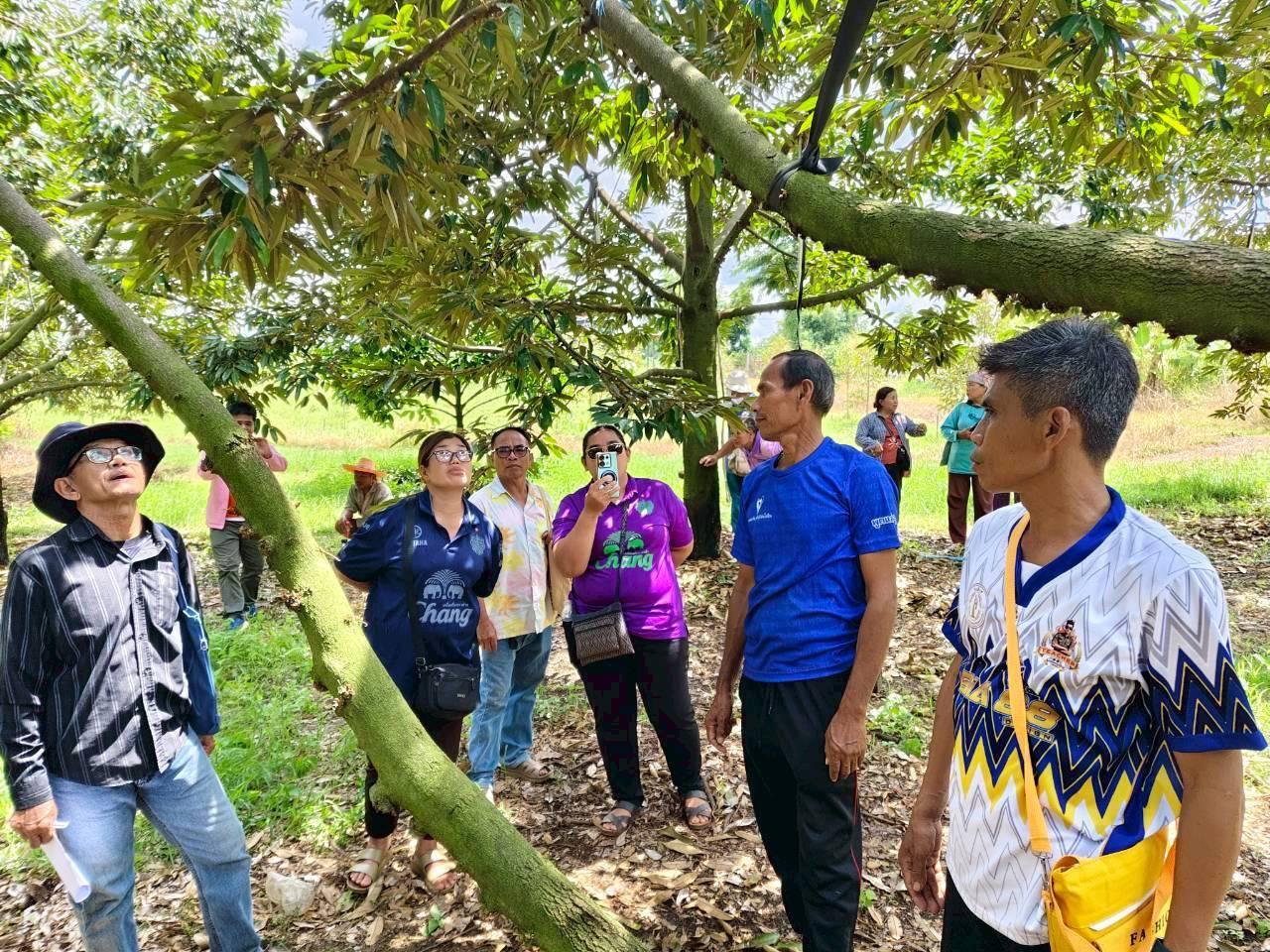 ภาพประกอบที่ 7