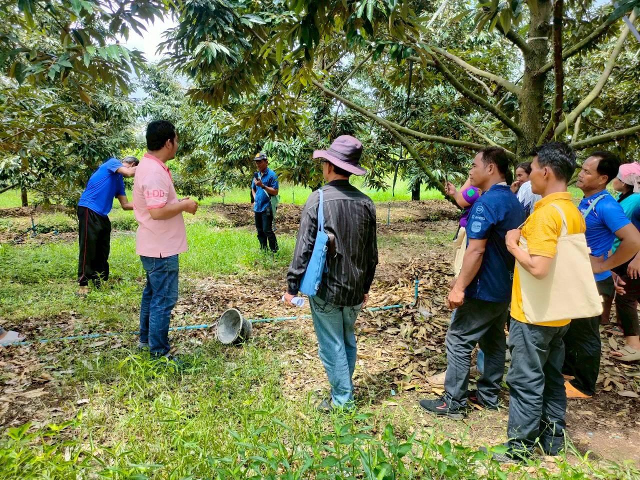 ภาพประกอบที่ 9