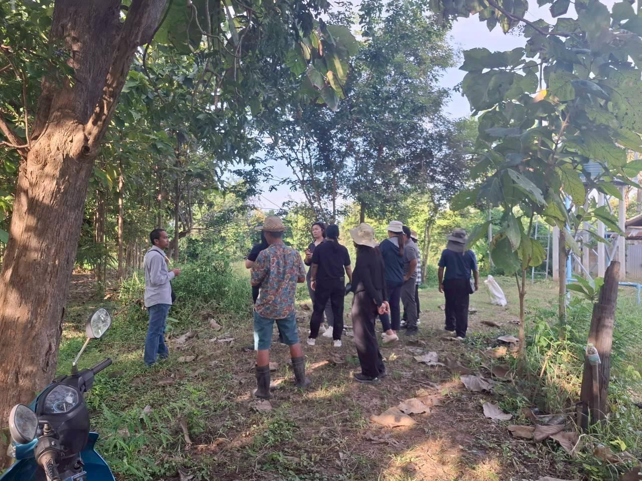 ภาพประกอบที่ 2