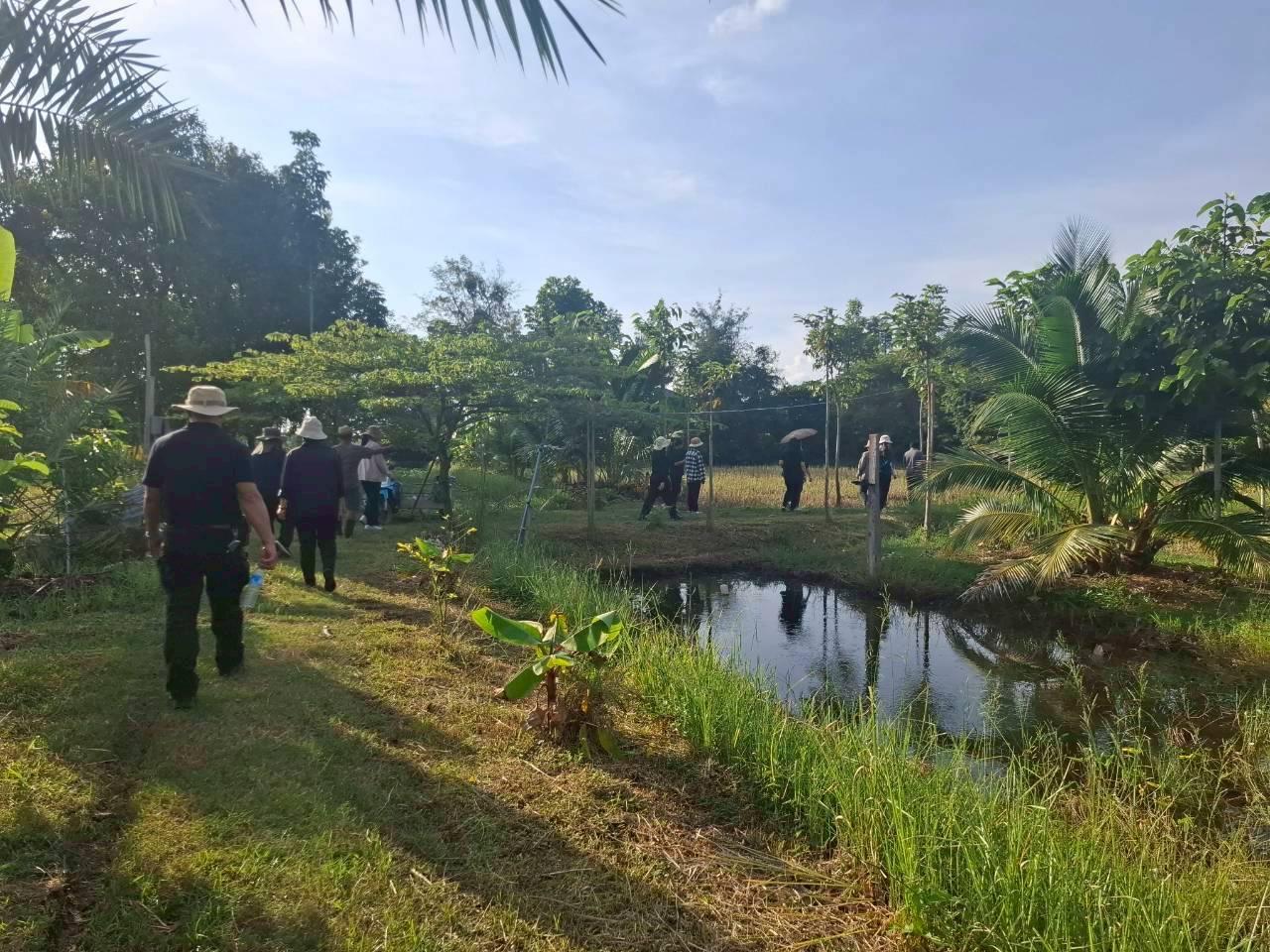 ภาพประกอบที่ 3