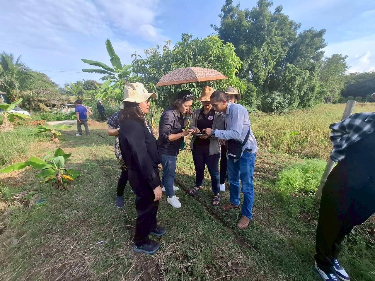 ภาพประกอบที่ 4