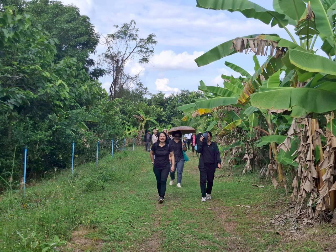 ภาพประกอบที่ 6