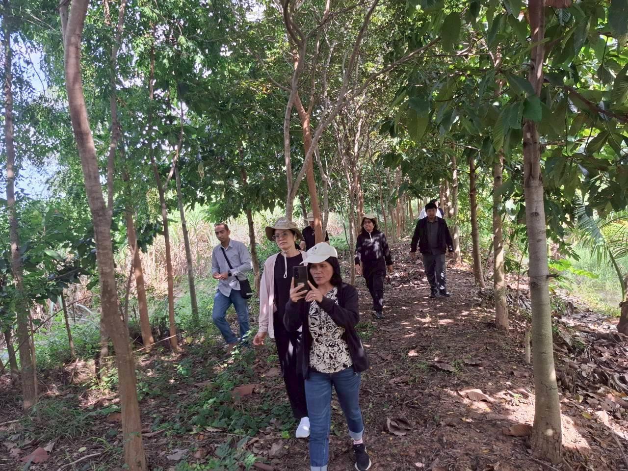 ภาพประกอบที่ 7