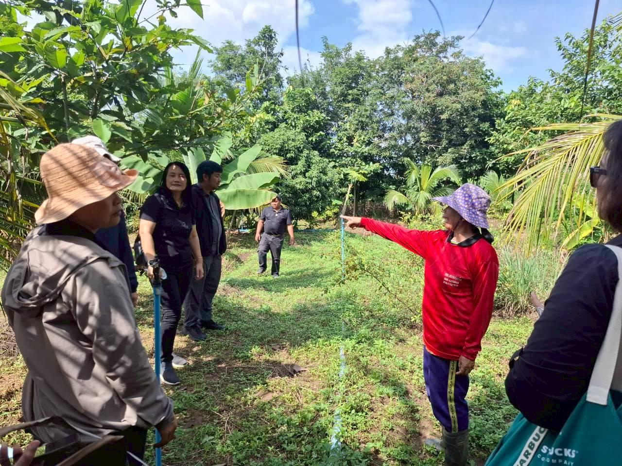 ภาพประกอบที่ 9