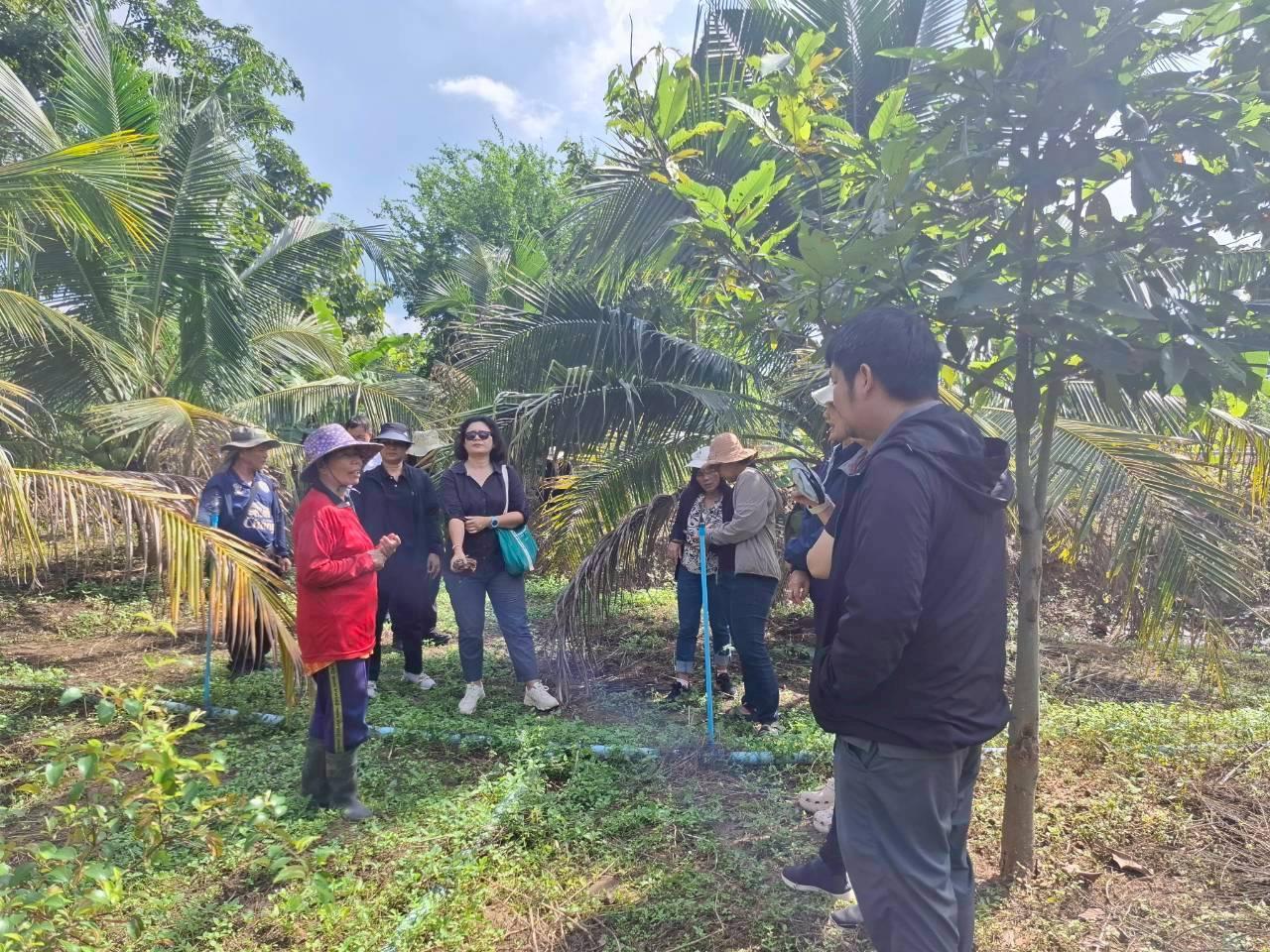 ภาพประกอบที่ 10
