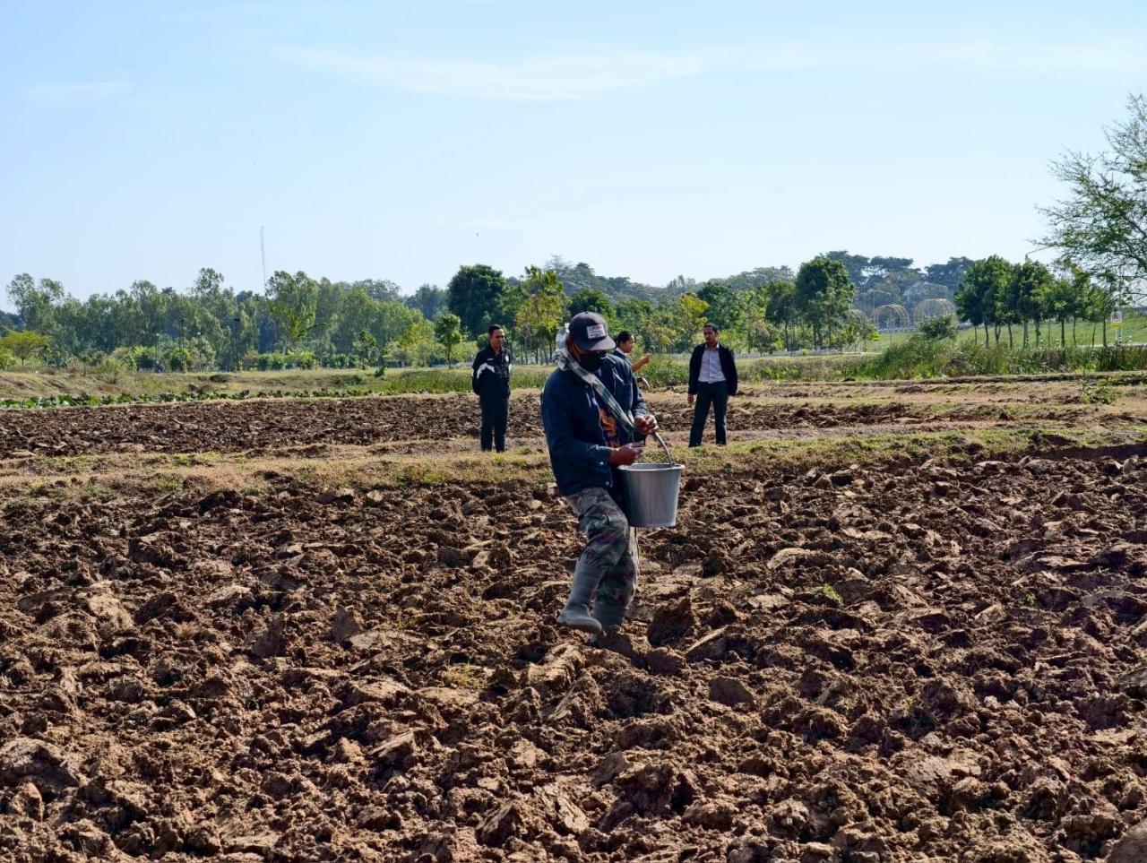 ภาพประกอบที่ 5