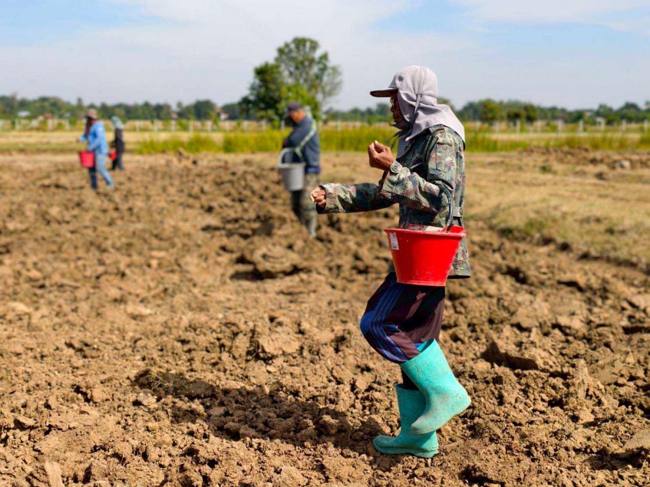 ภาพประกอบที่ 7