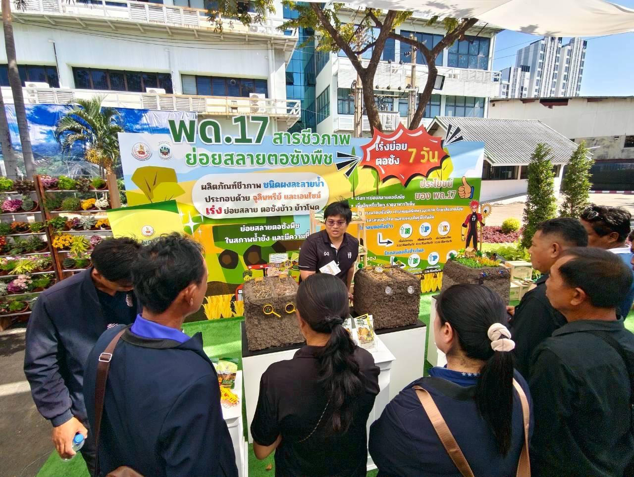 ภาพประกอบที่ 6