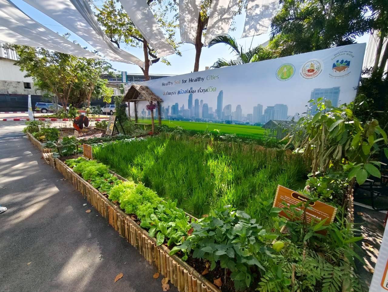 ภาพประกอบที่ 8