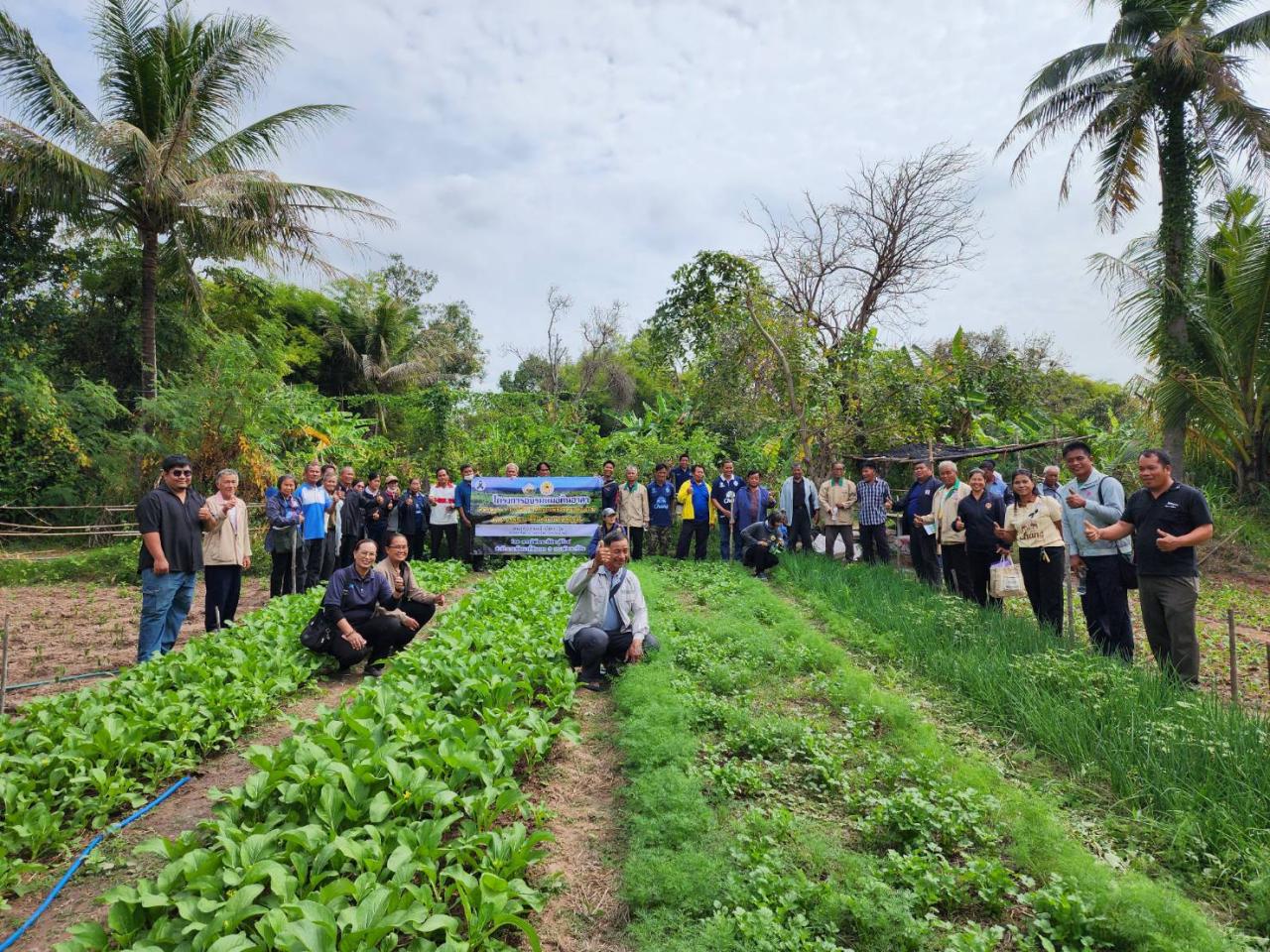 ภาพประกอบที่ 12