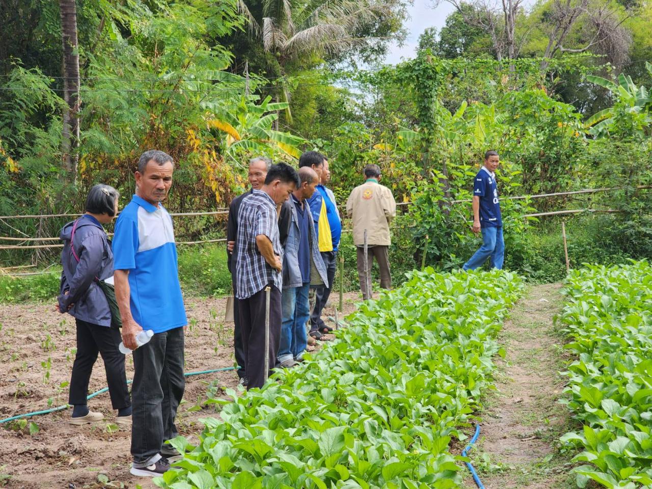 ภาพประกอบที่ 14