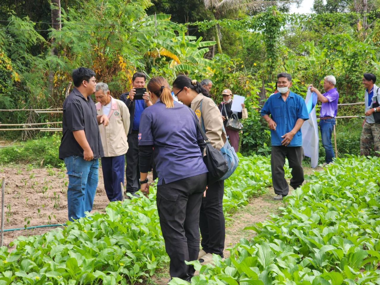 ภาพประกอบที่ 15