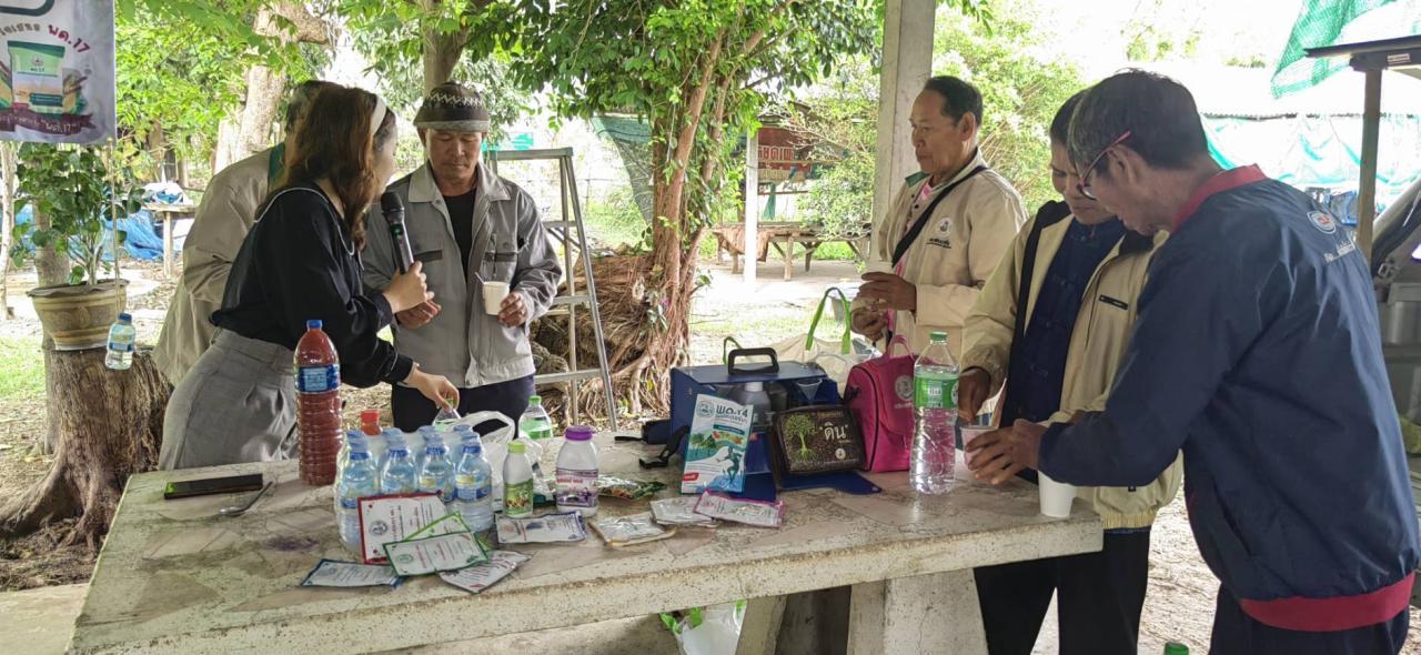 ภาพประกอบที่ 8