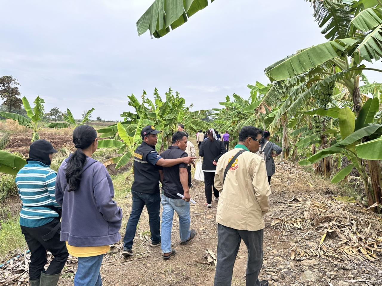 ภาพประกอบที่ 5