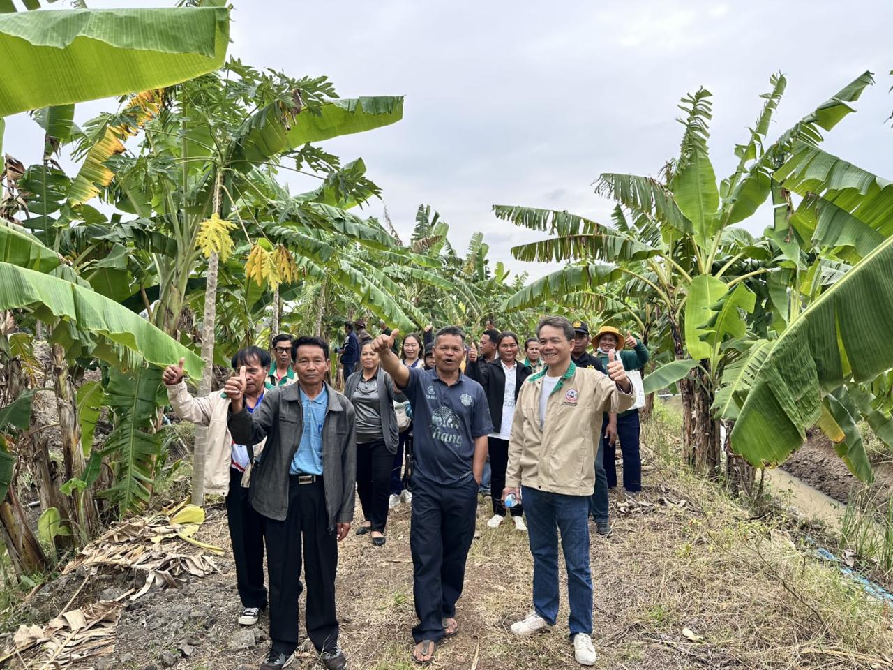 ภาพประกอบที่ 6