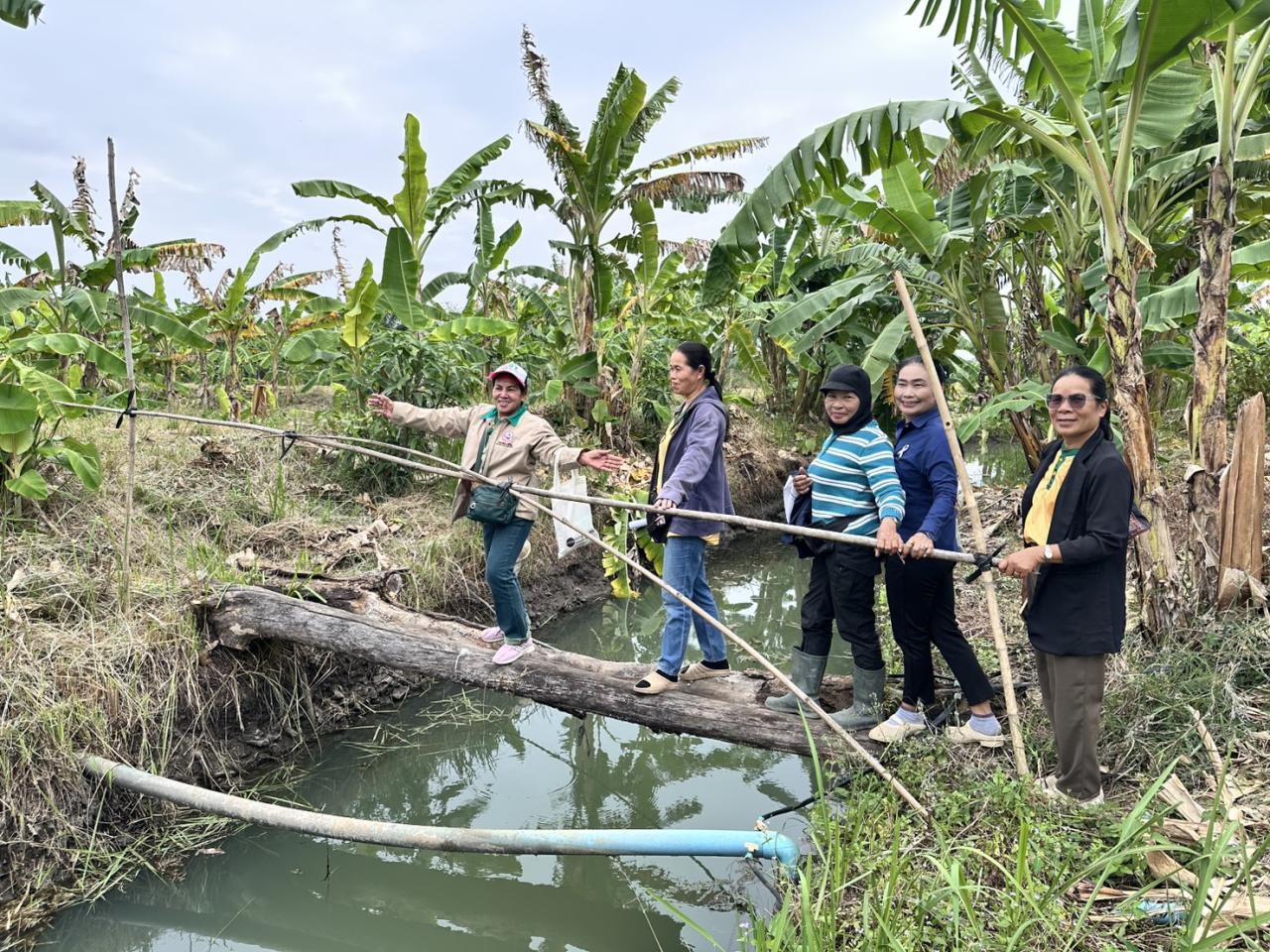ภาพประกอบที่ 9