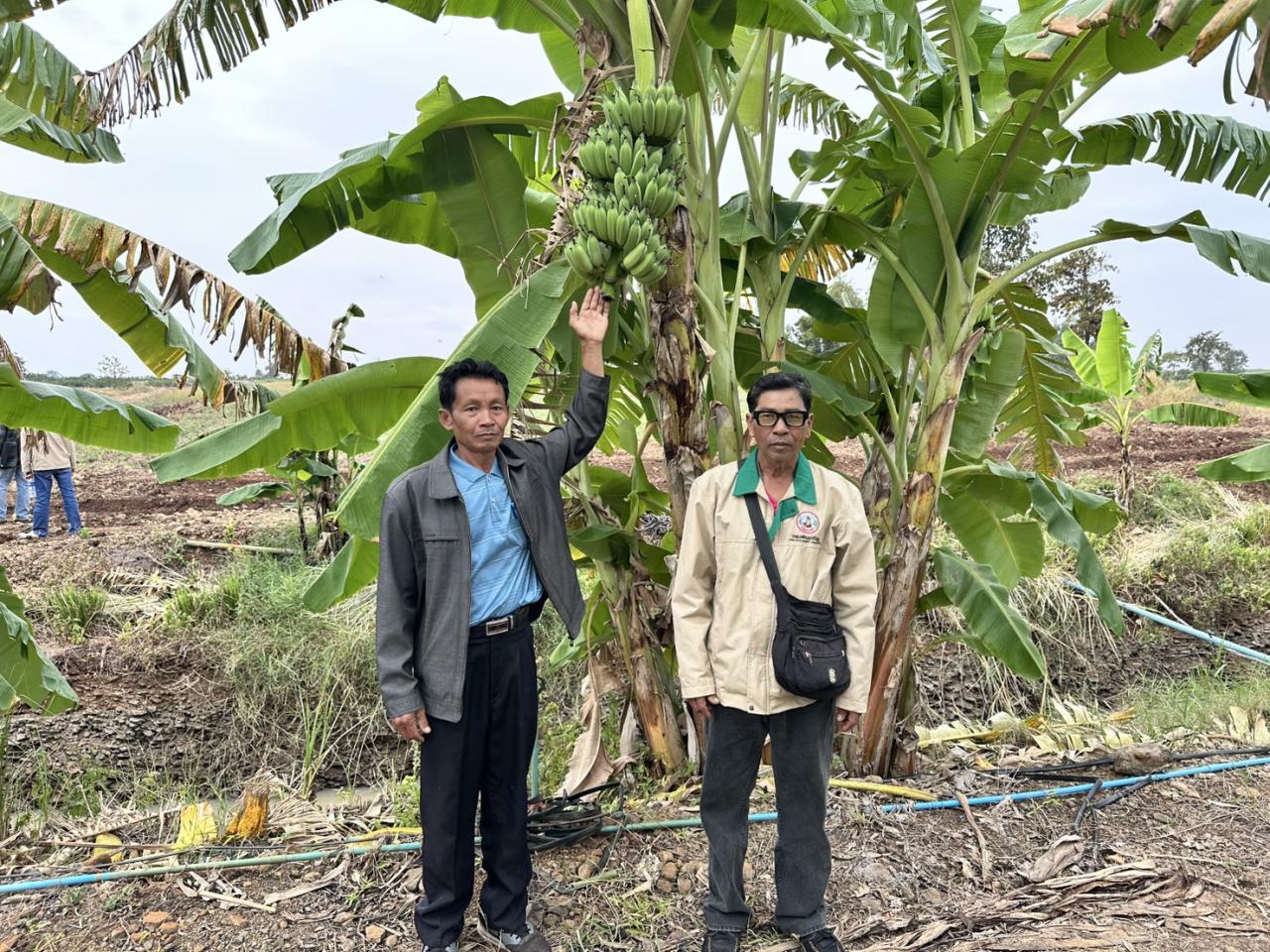 ภาพประกอบที่ 12