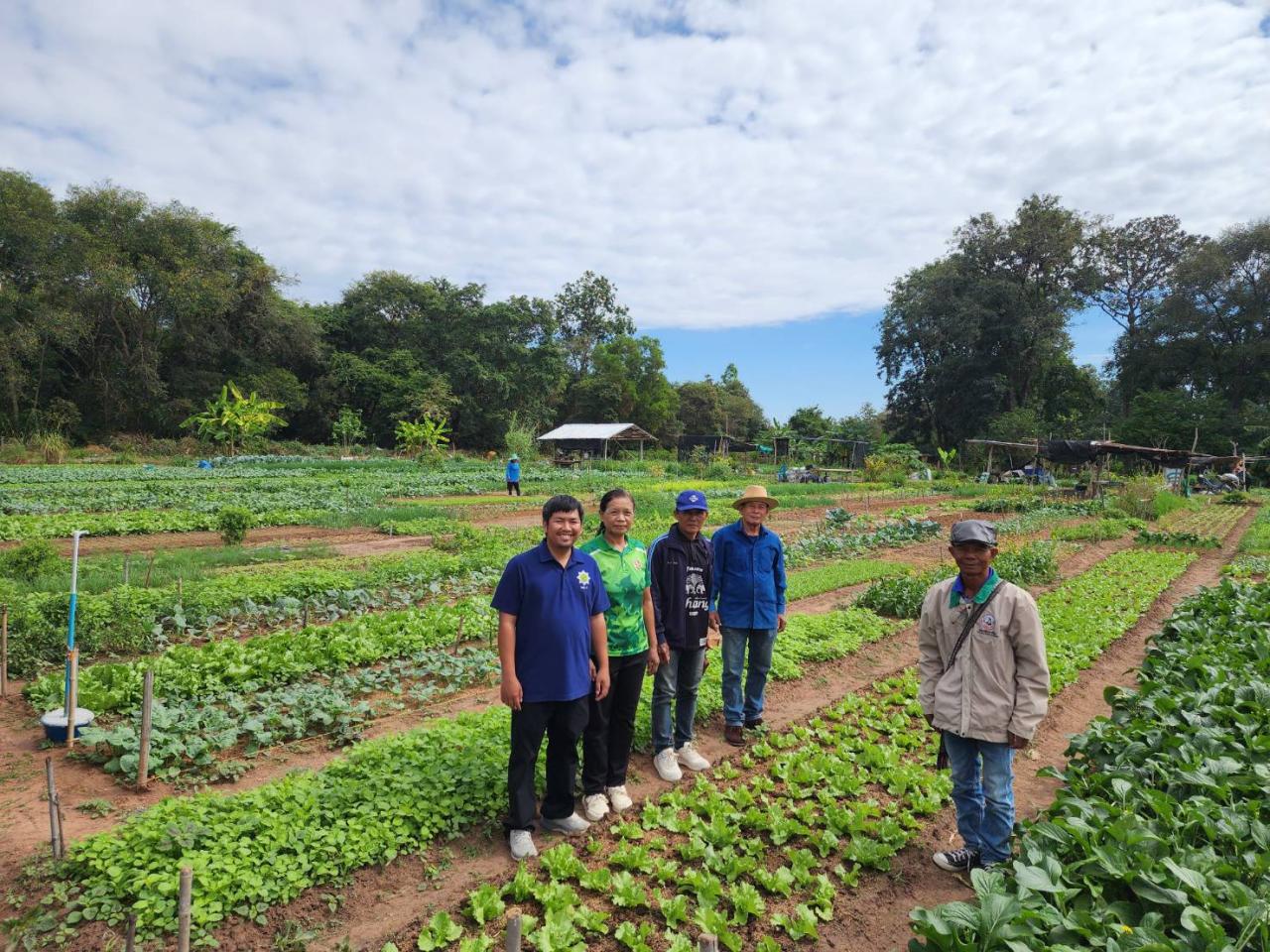 ภาพประกอบที่ 14