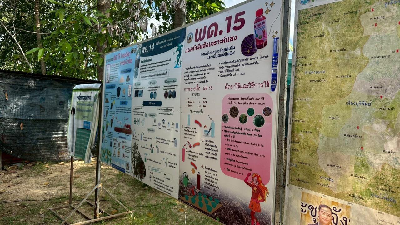 ภาพประกอบที่ 12