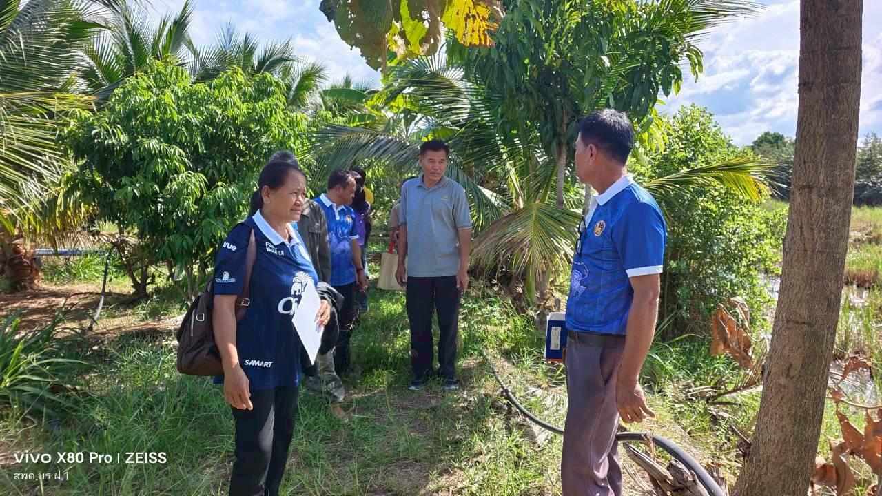 ภาพประกอบที่ 13