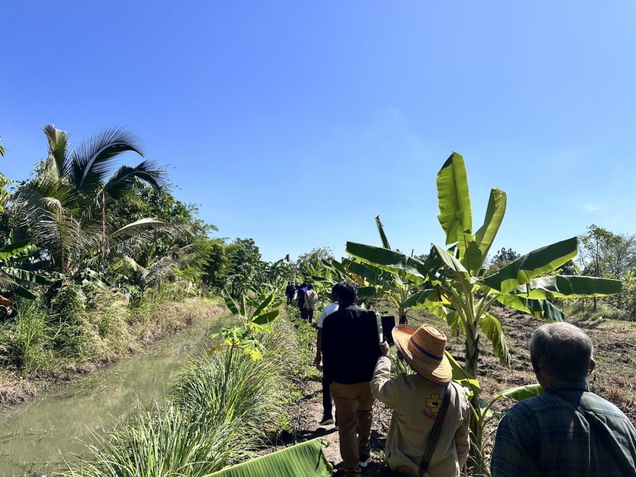 ภาพประกอบที่ 6