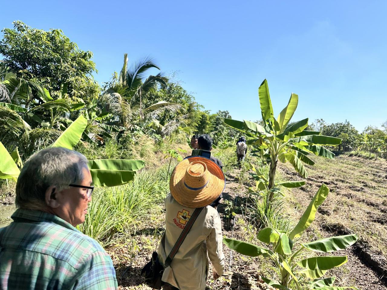 ภาพประกอบที่ 7