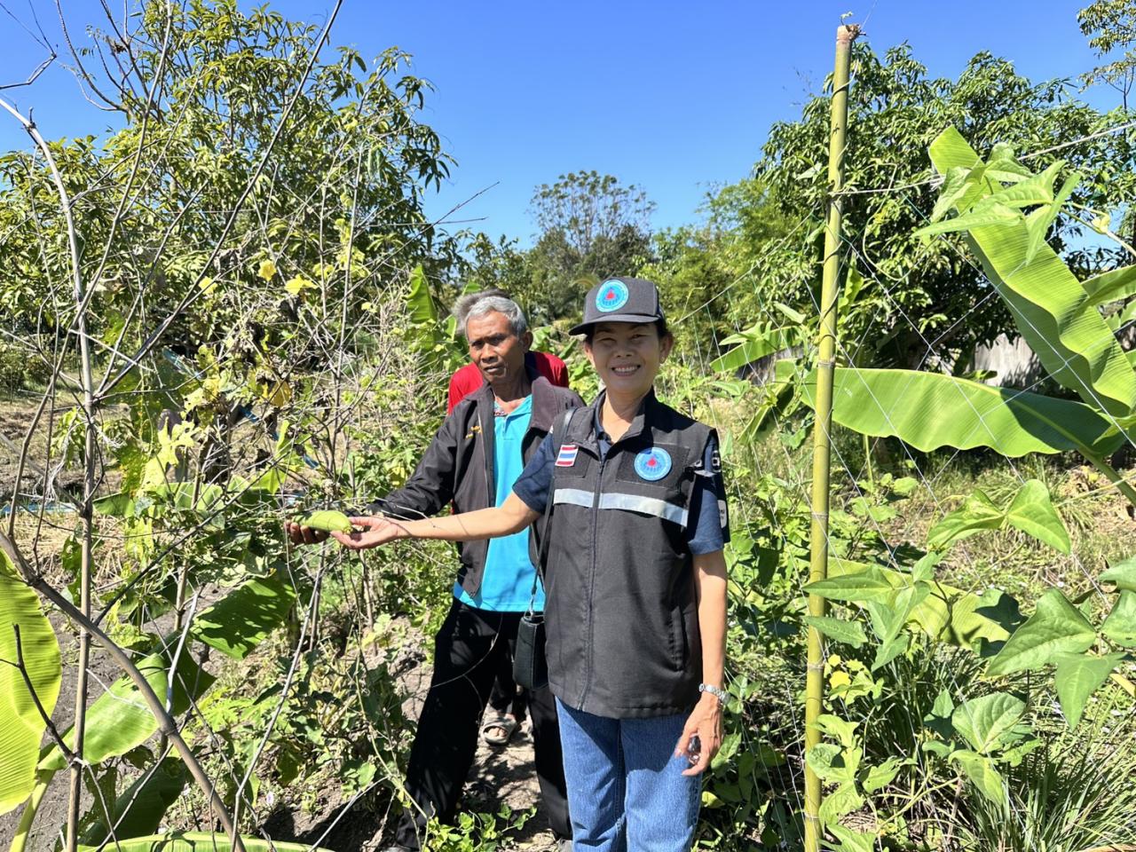 ภาพประกอบที่ 9