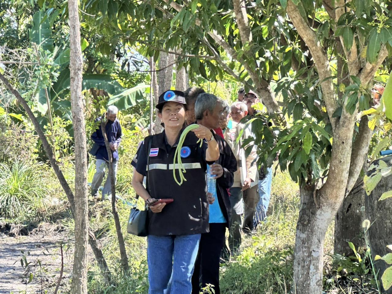 ภาพประกอบที่ 11