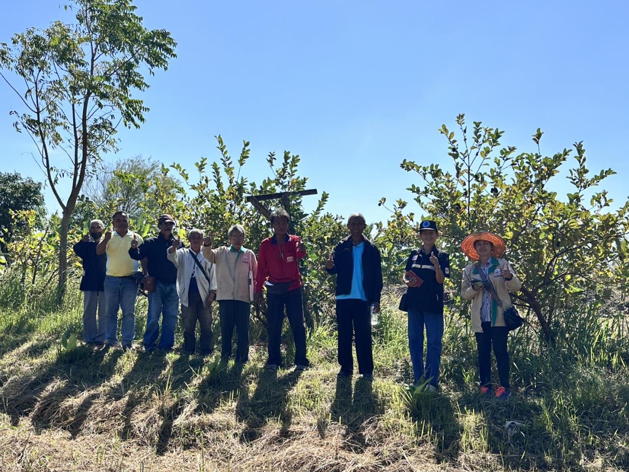 ภาพประกอบที่ 12
