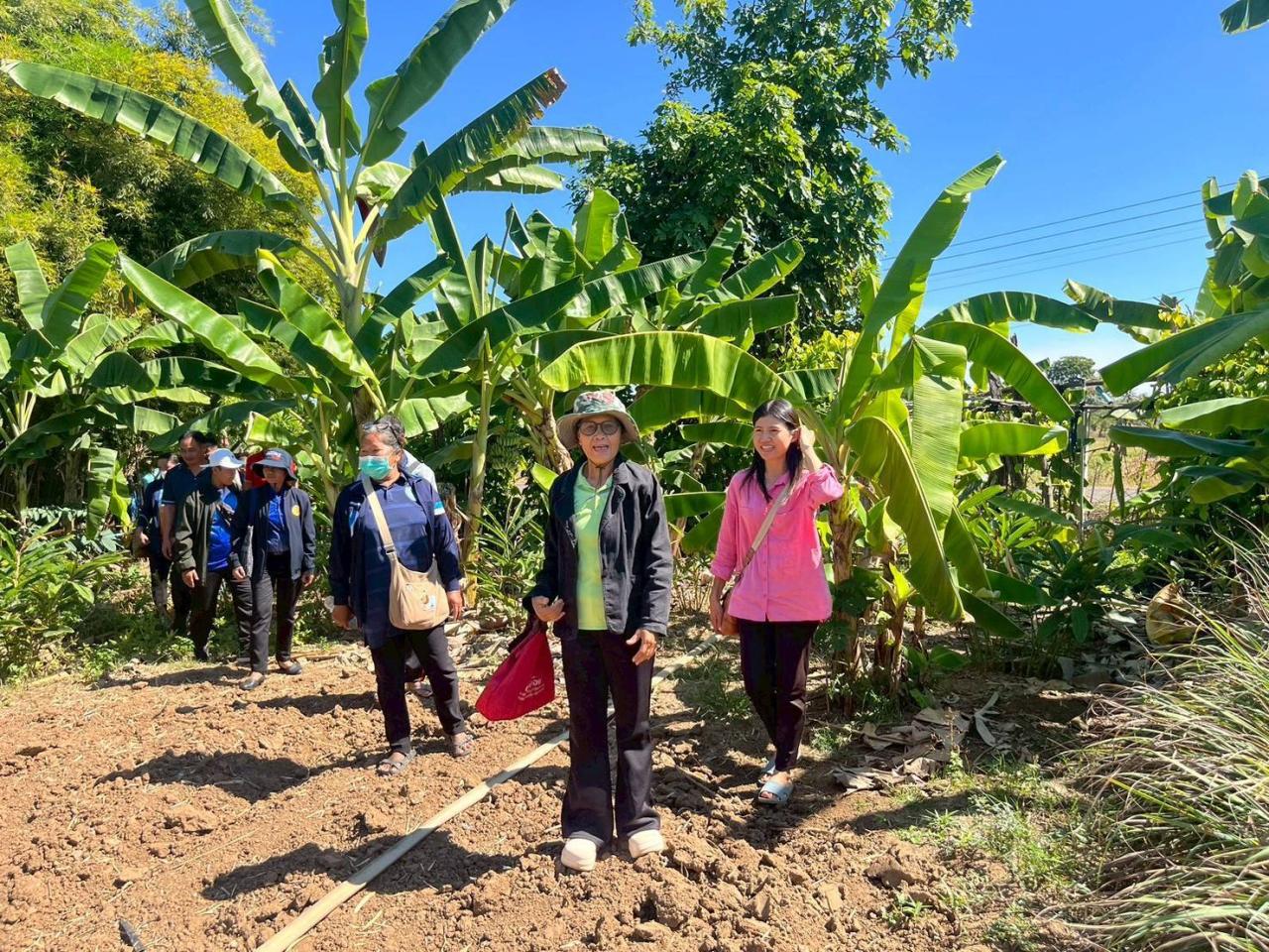 ภาพประกอบที่ 13