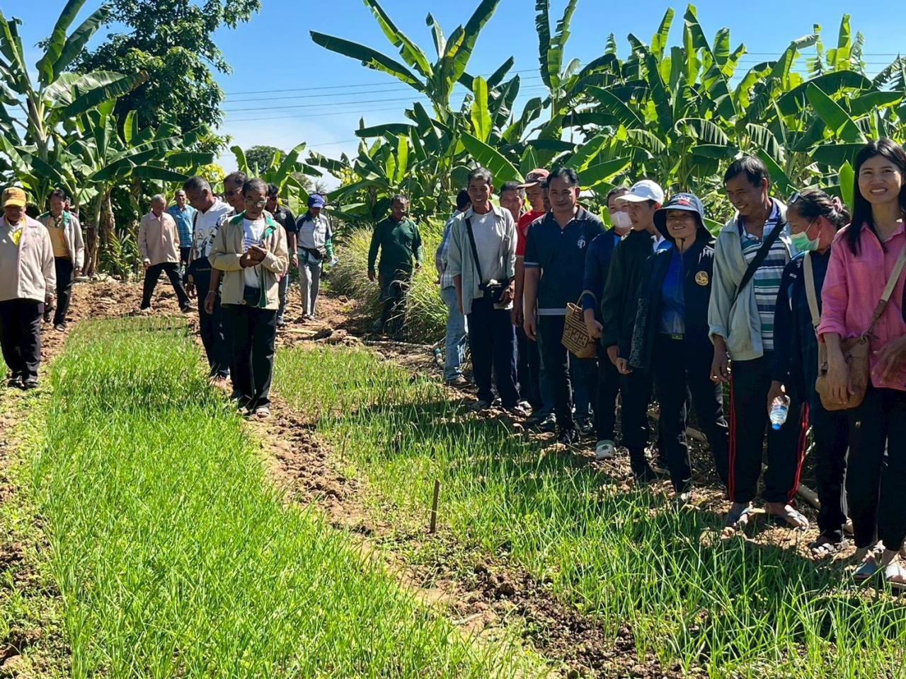 ภาพประกอบที่ 14