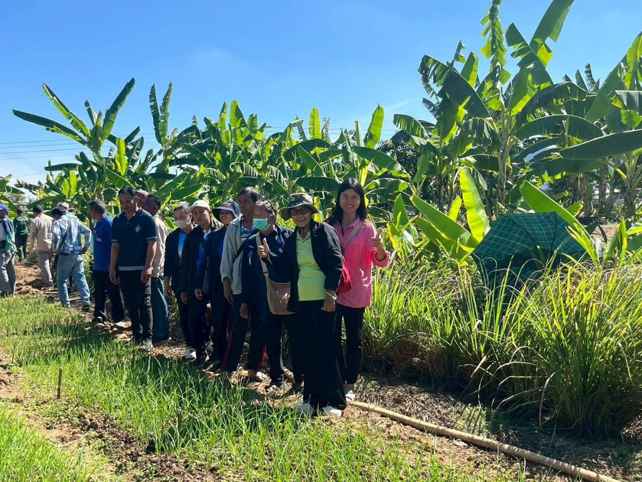 ภาพประกอบที่ 15