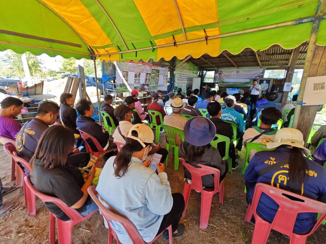 ภาพประกอบที่ 13