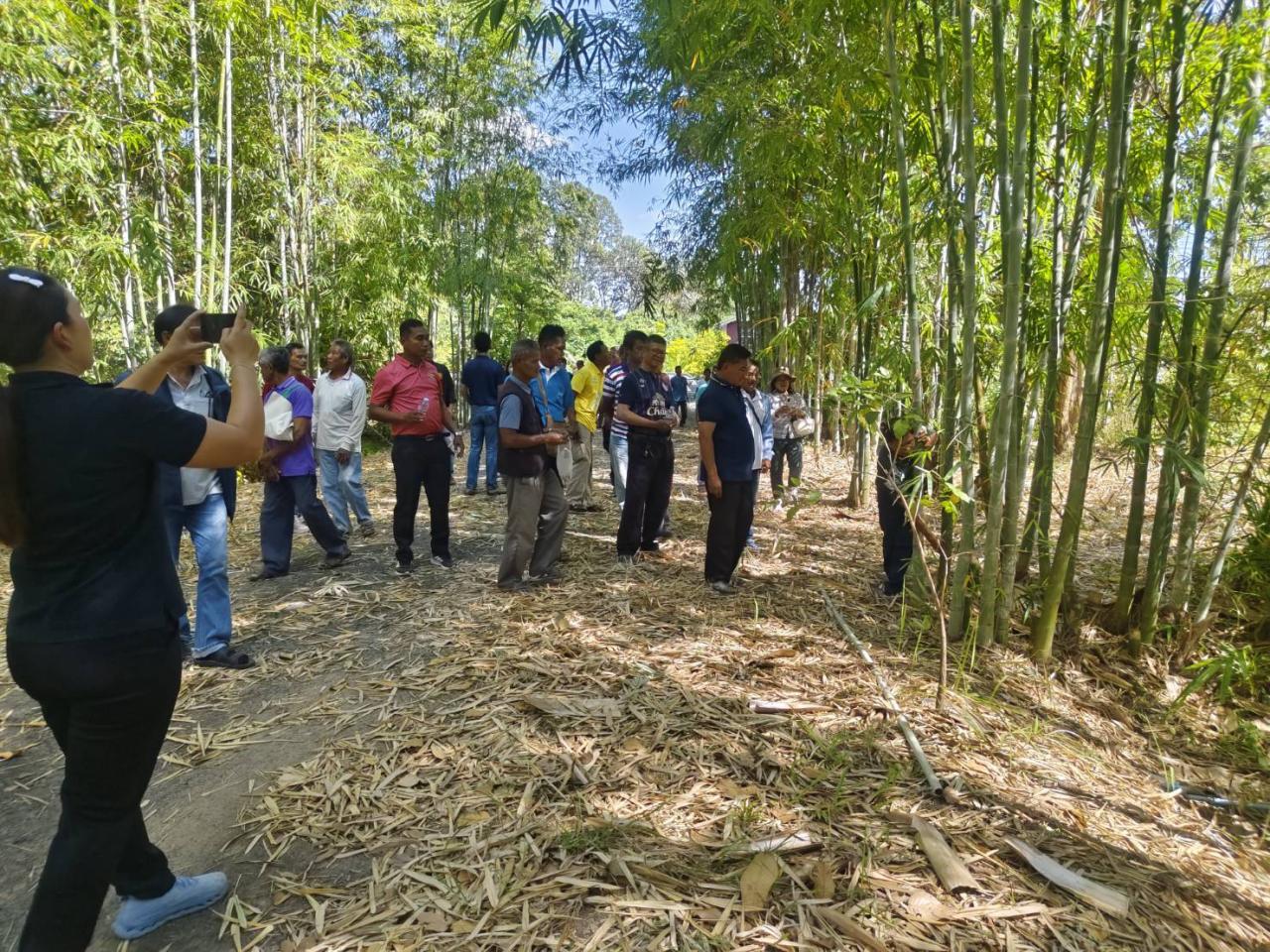 ภาพประกอบที่ 17