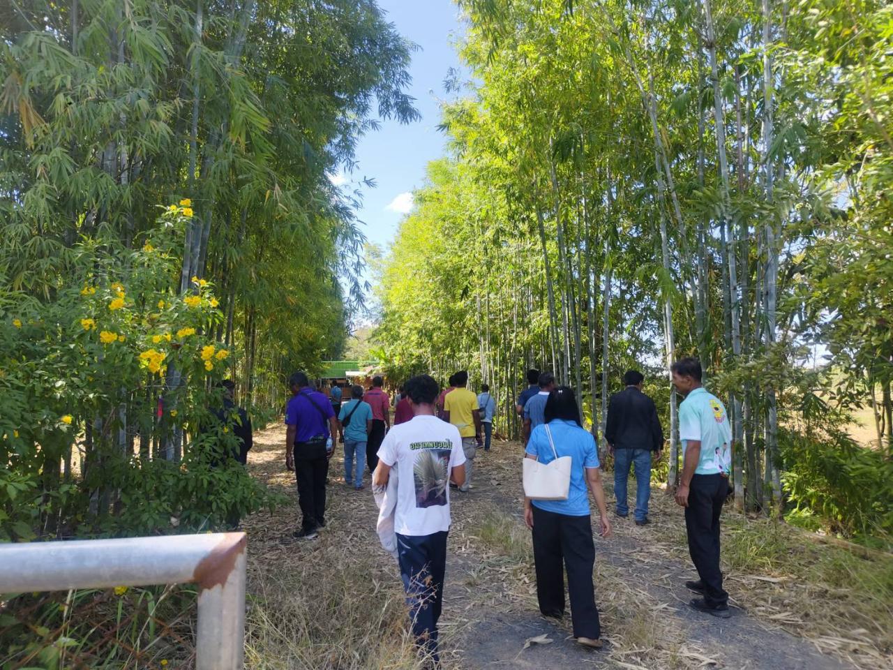 ภาพประกอบที่ 18