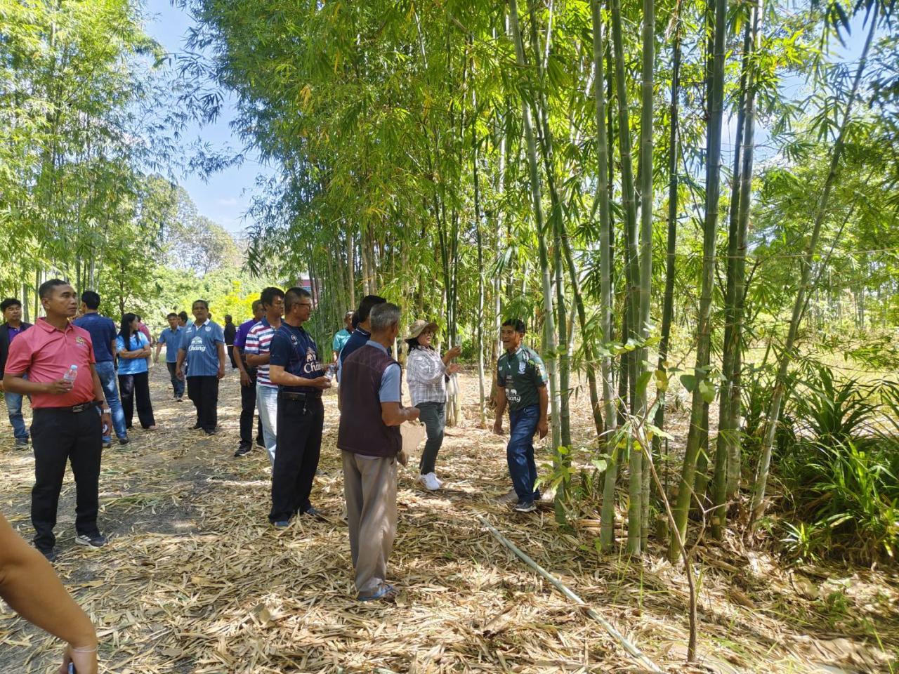 ภาพประกอบที่ 19
