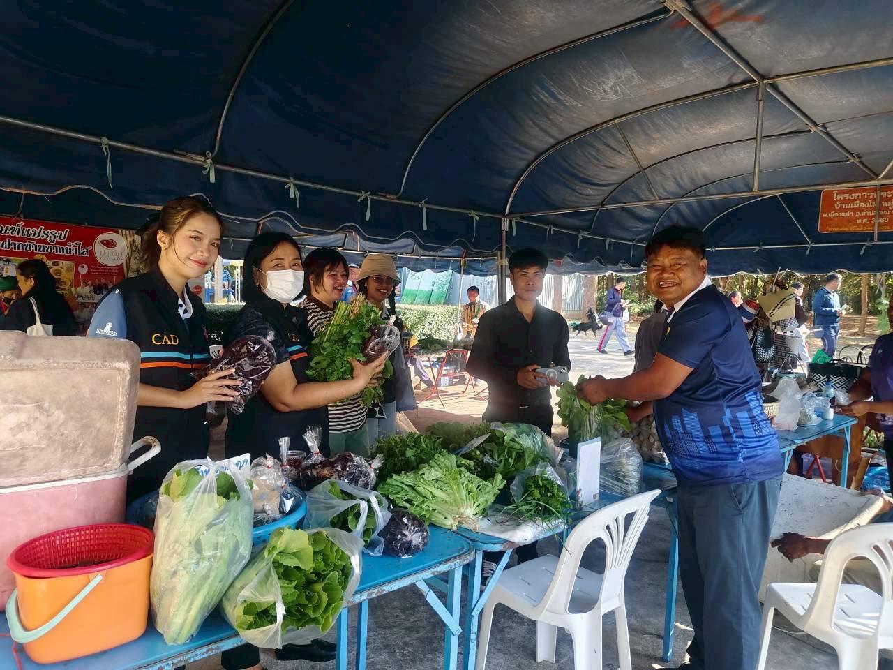 ภาพประกอบที่ 33