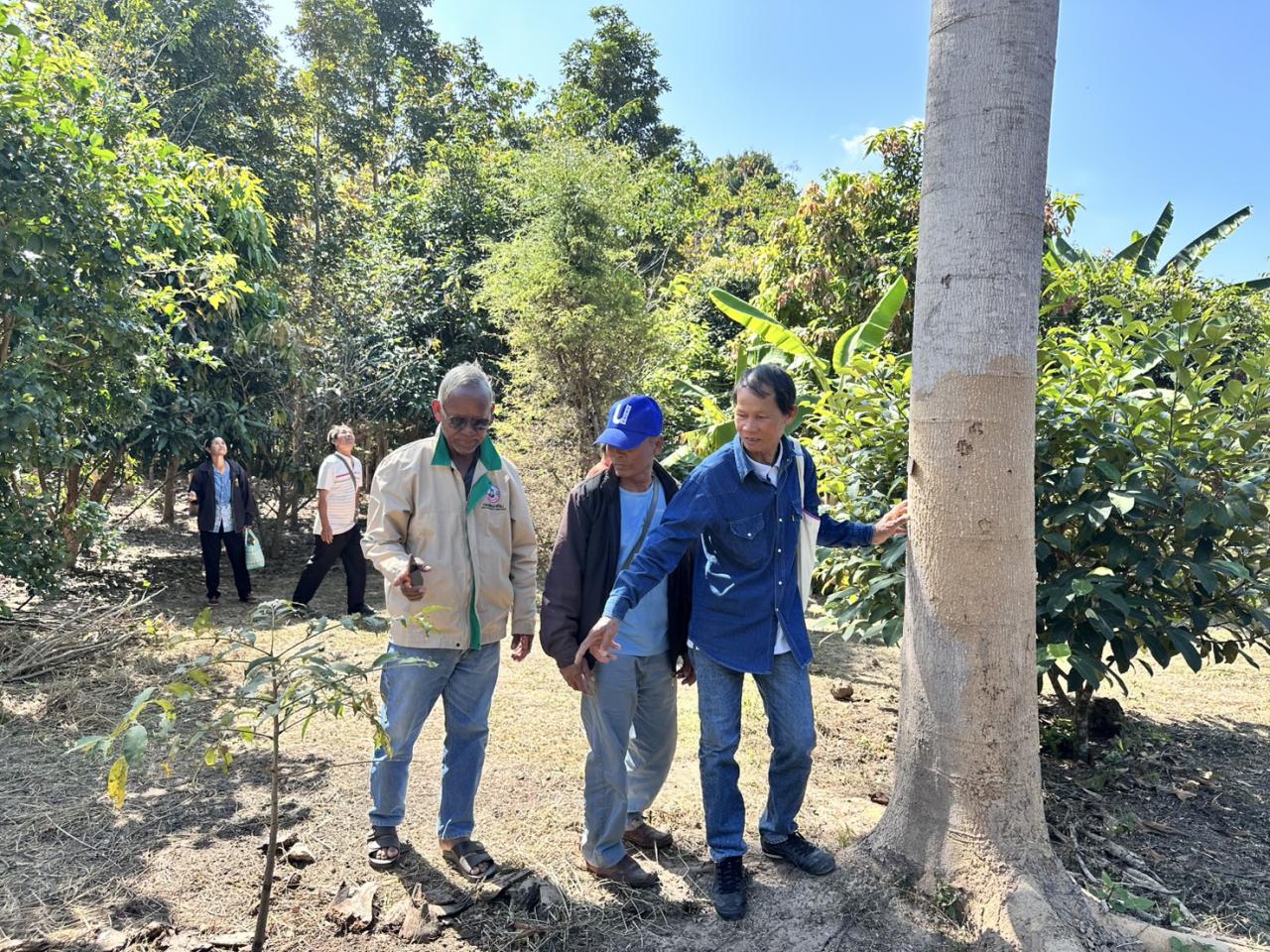 ภาพประกอบที่ 8