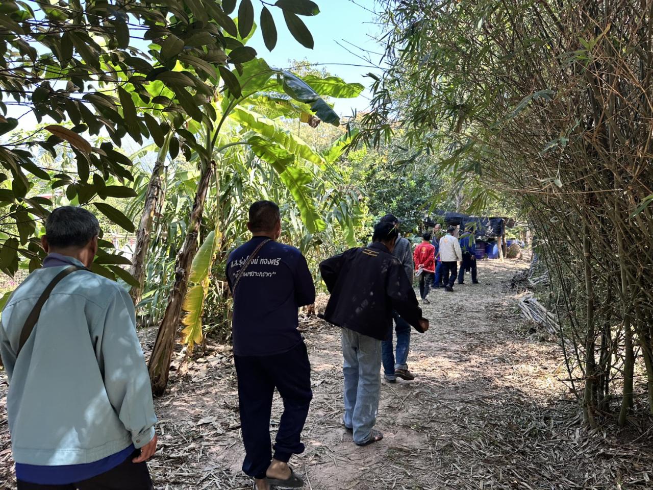 ภาพประกอบที่ 12