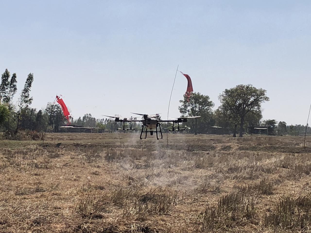 ภาพประกอบที่ 19