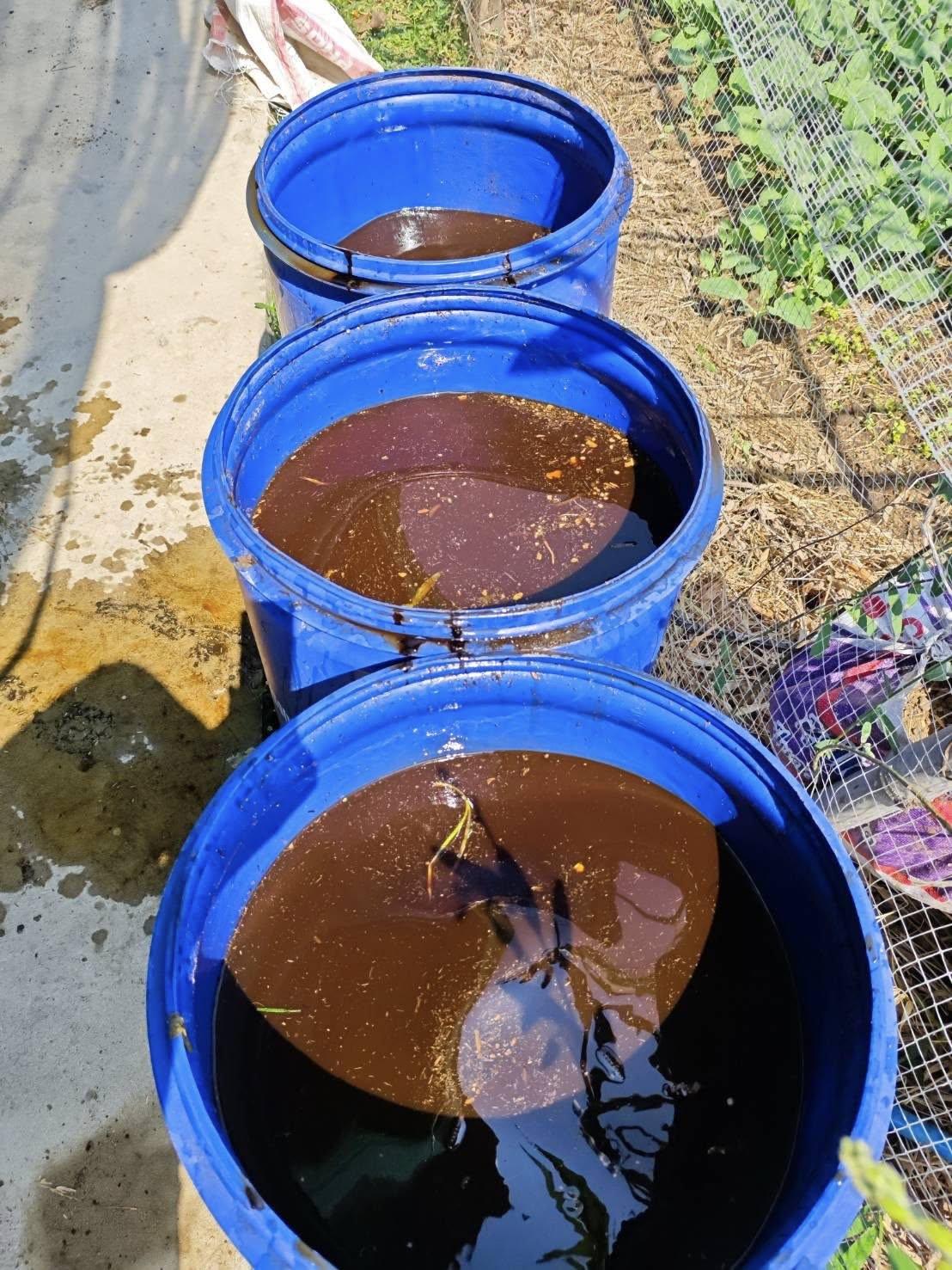 ภาพประกอบที่ 13