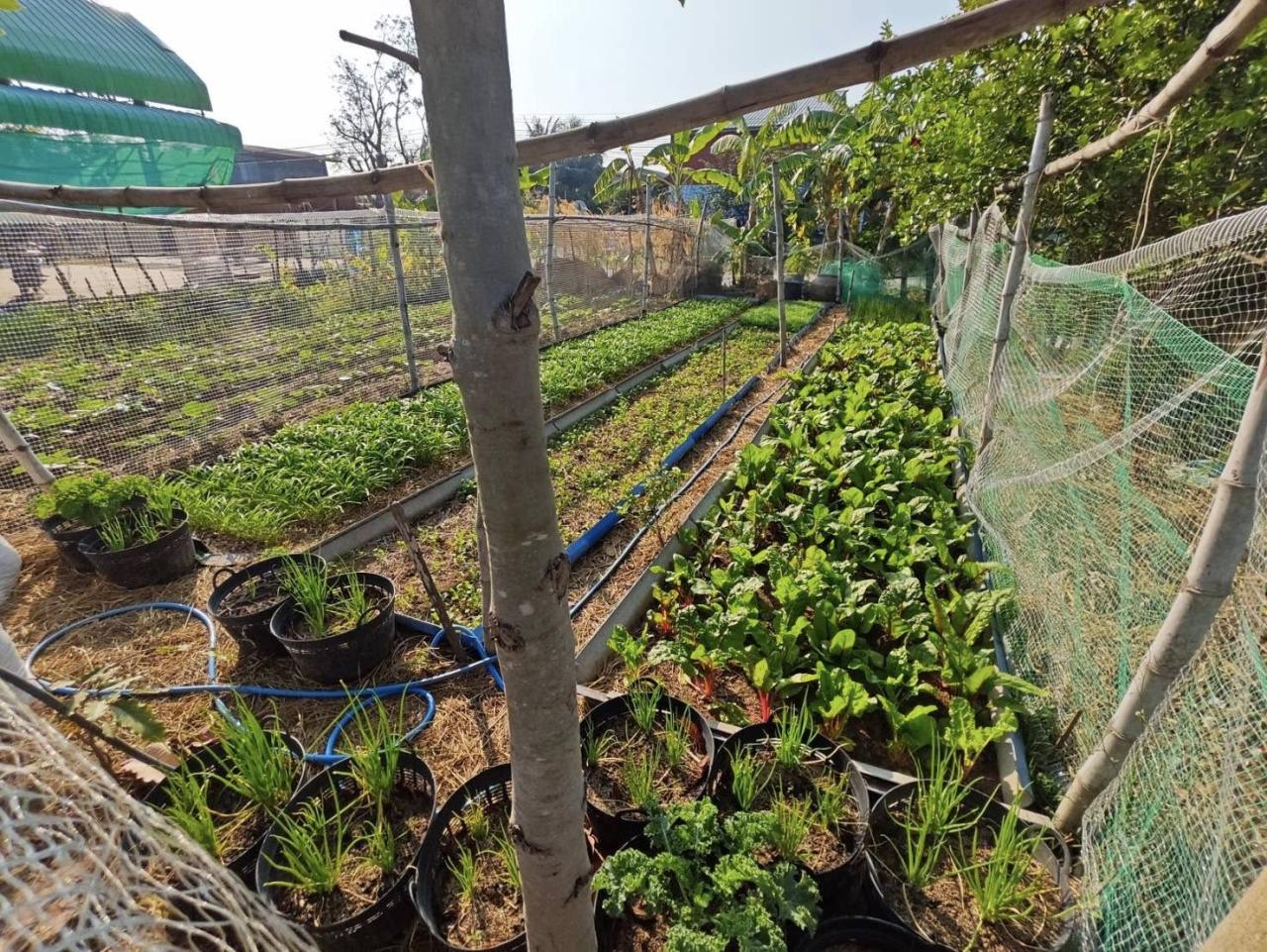 ภาพประกอบที่ 30