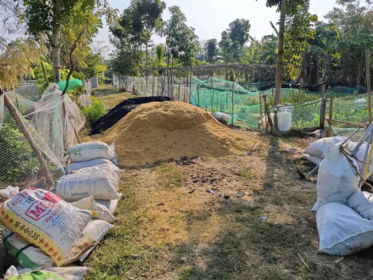 ภาพประกอบที่ 31