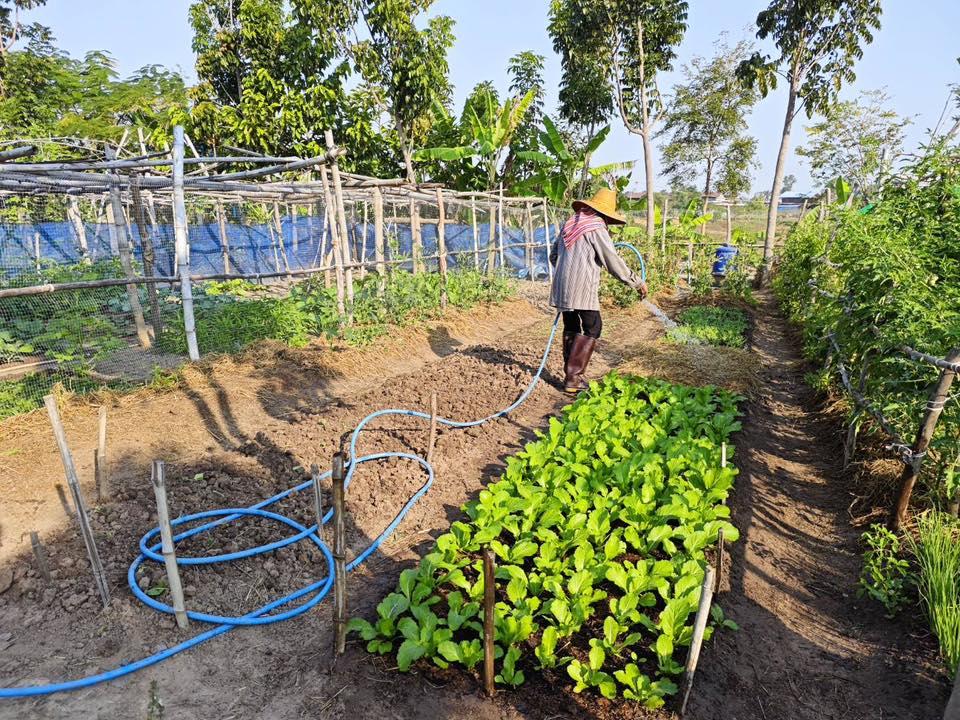 ภาพประกอบที่ 32