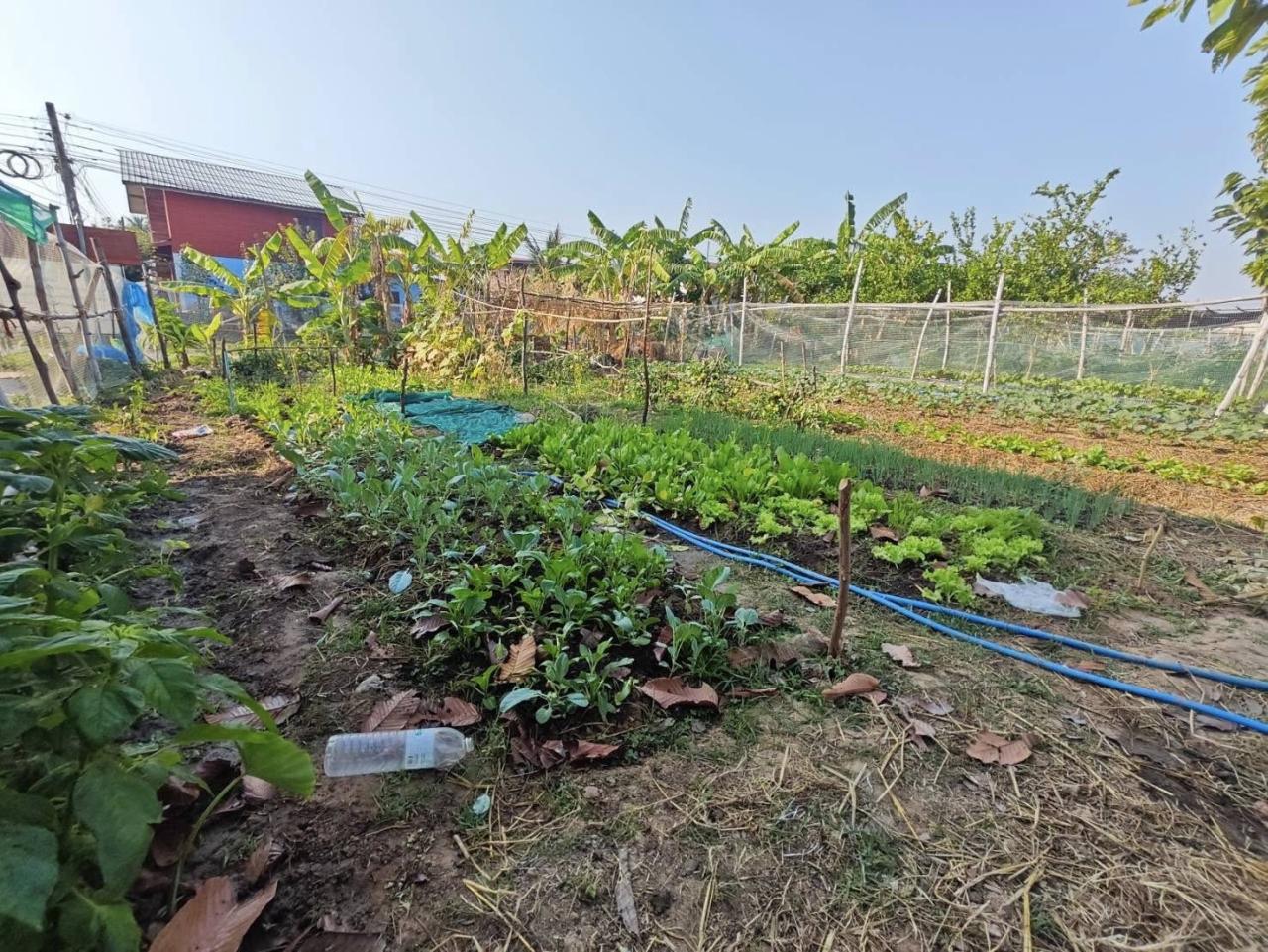 ภาพประกอบที่ 35