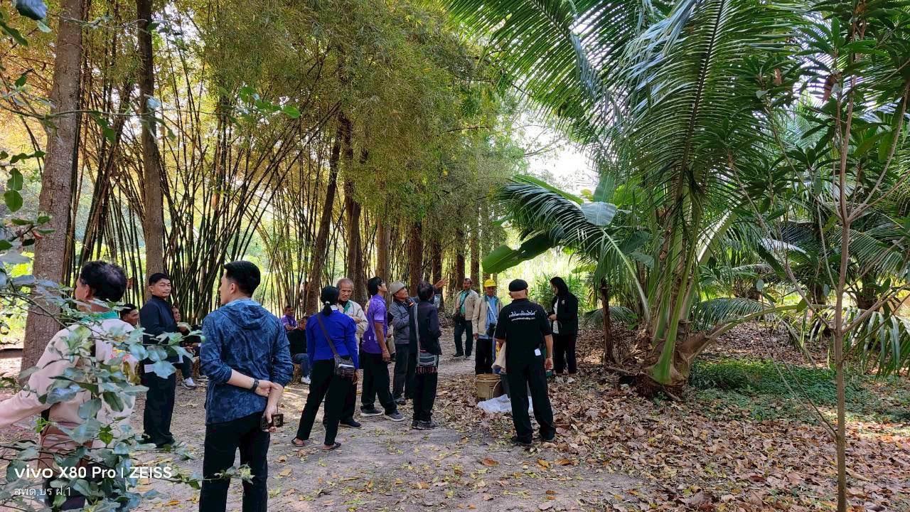 ภาพประกอบที่ 7