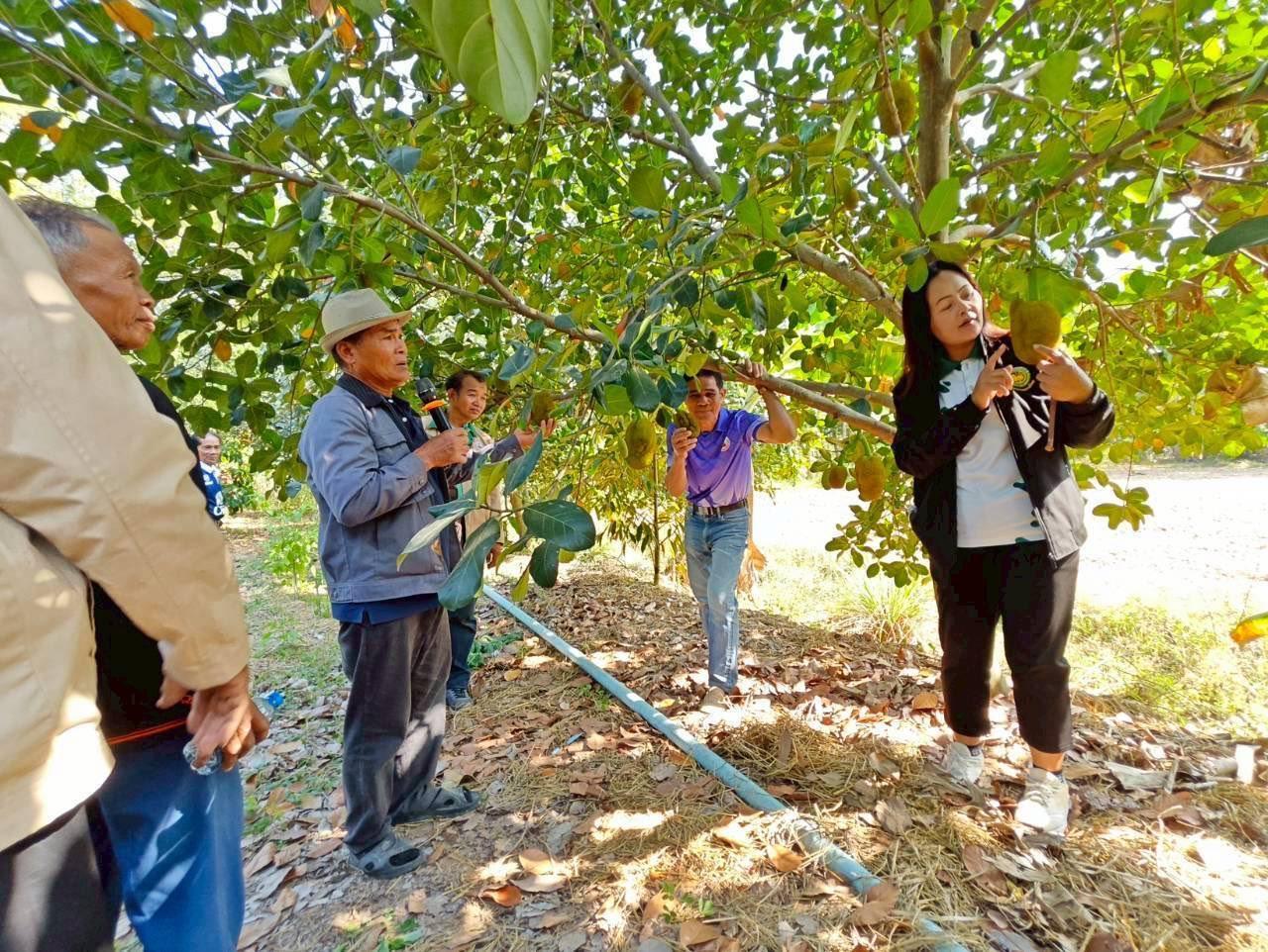 ภาพประกอบที่ 8